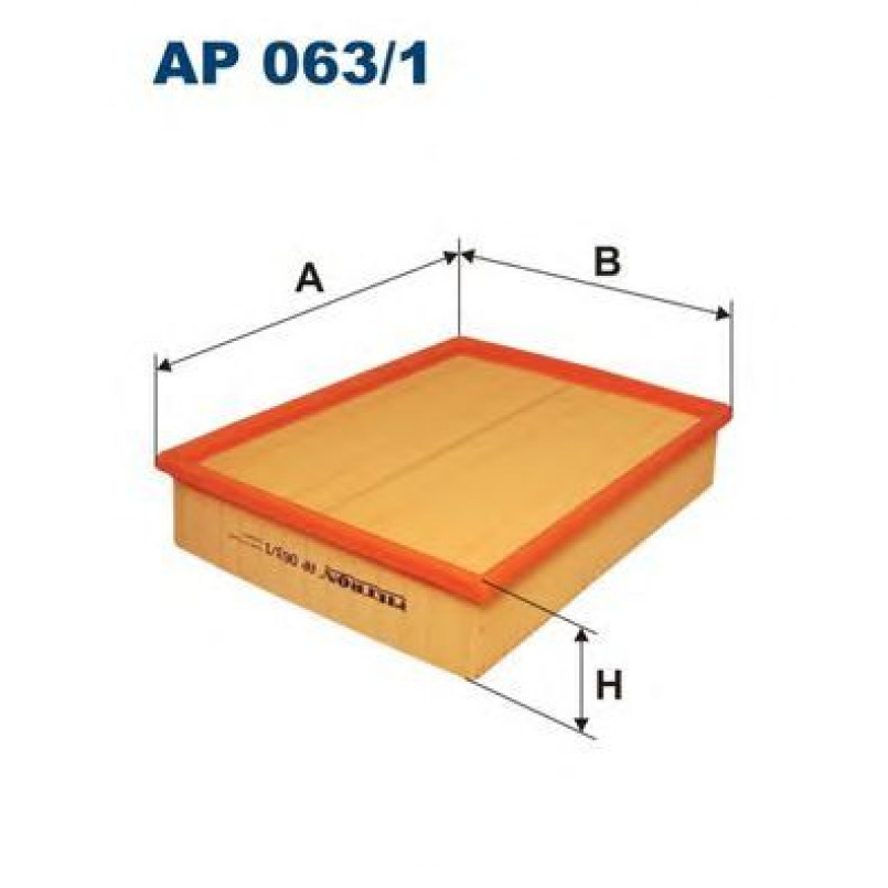 FILTRON AP063/1 Фільтр повітря
