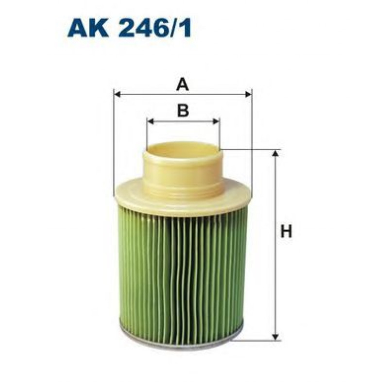 FILTRON AK246/1 Фільтр повітря