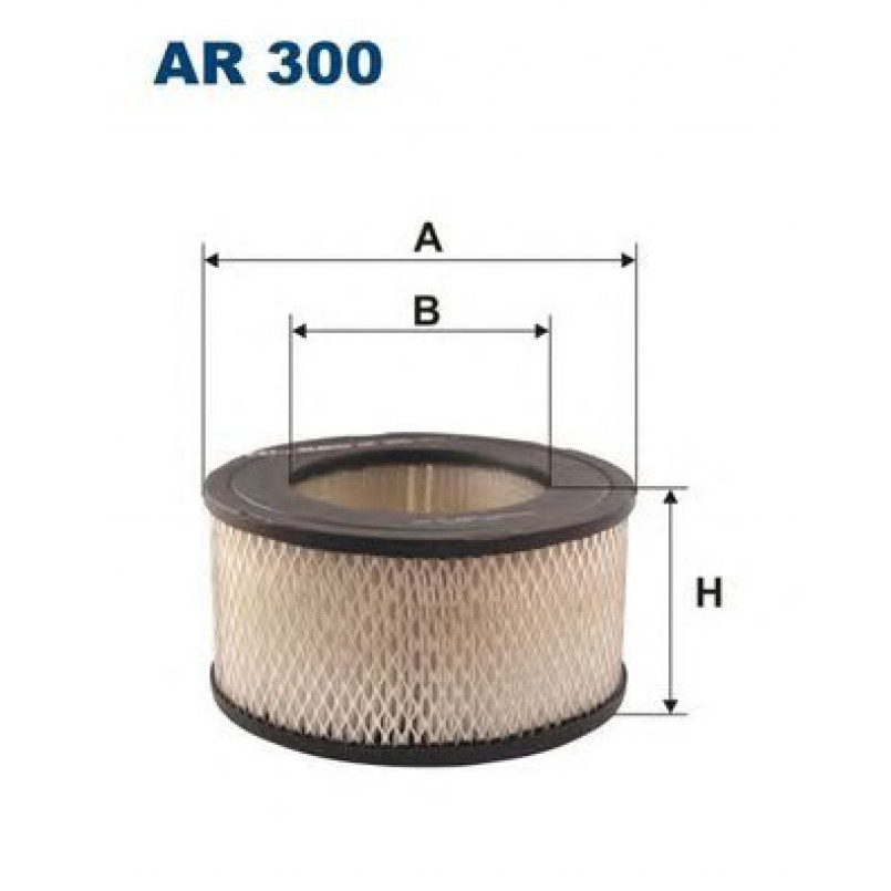 FILTRON AR300 Фільтр повітря