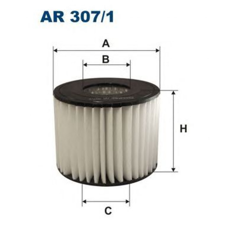 FILTRON AR307/1 Фільтр повітря