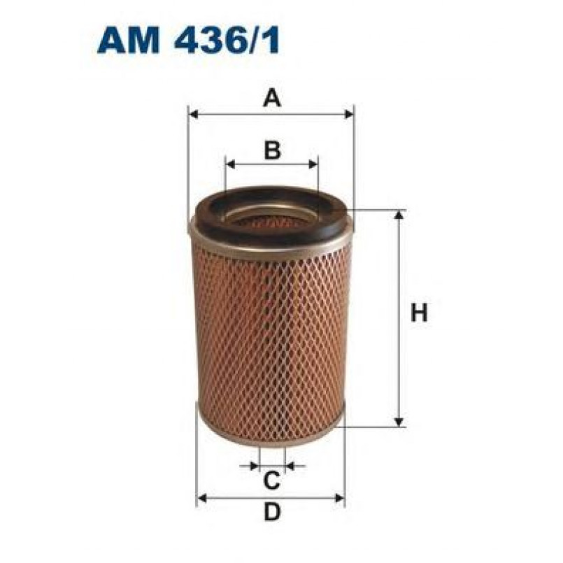 FILTRON AM436/1 Фільтр повітря