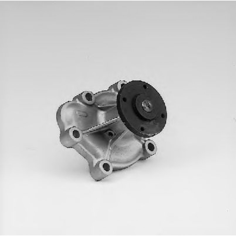 P313   HEPU - Насос охолоджуючої рідини