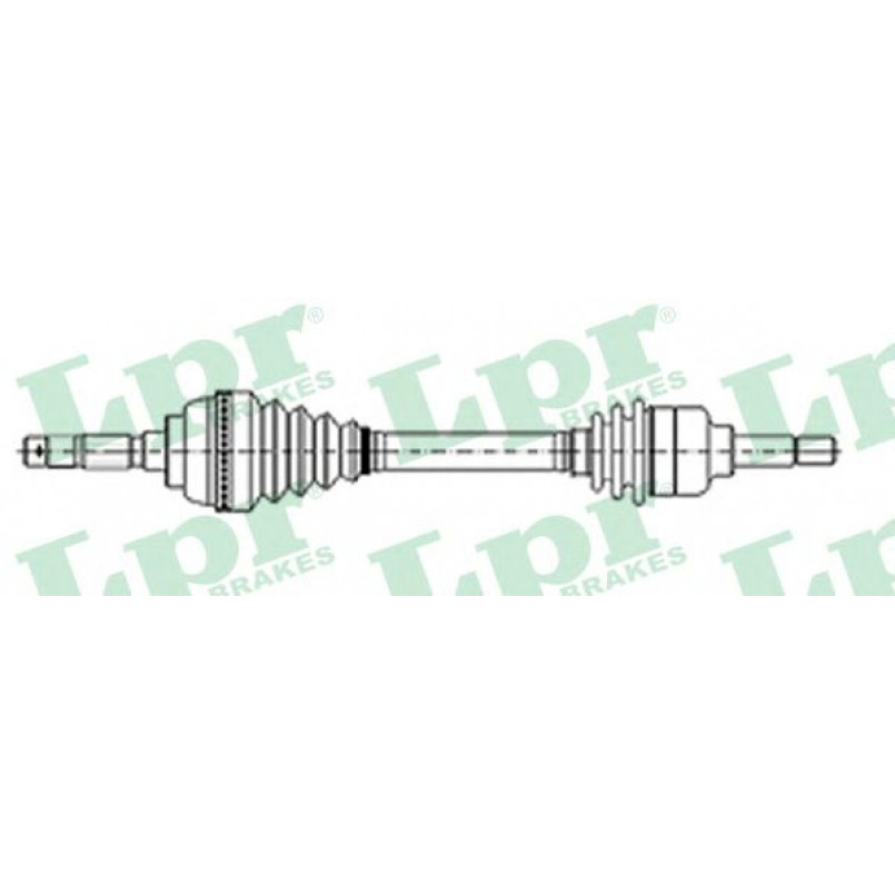 DS10010  LPR - Напіввісь