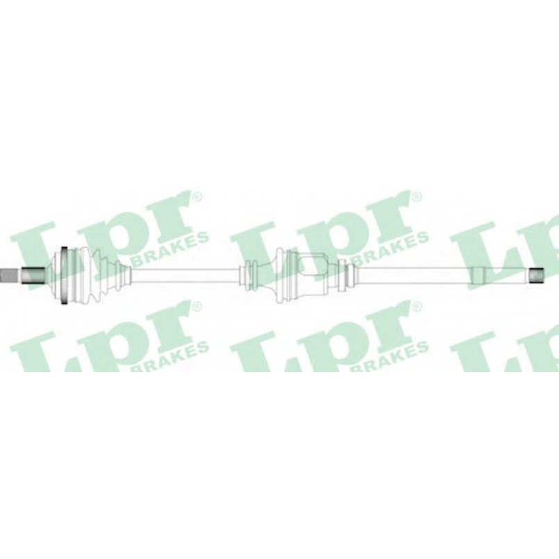 DS16067  LPR - Напіввісь