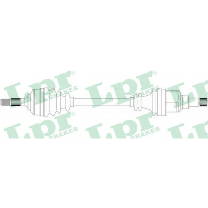 DS16191  LPR - Напіввісь