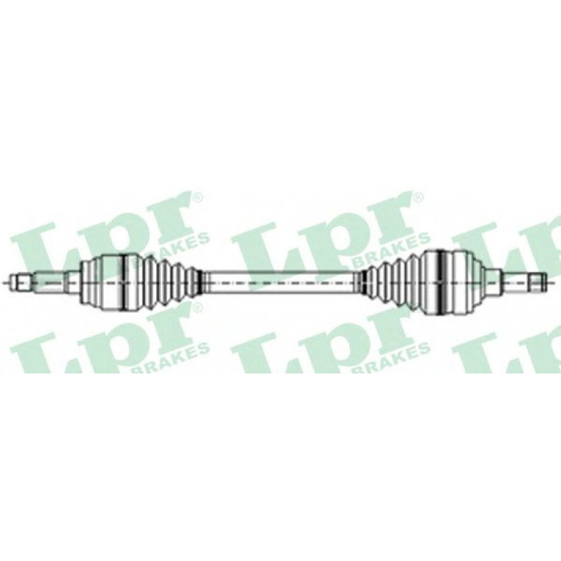 DS19011  LPR - Напіввісь