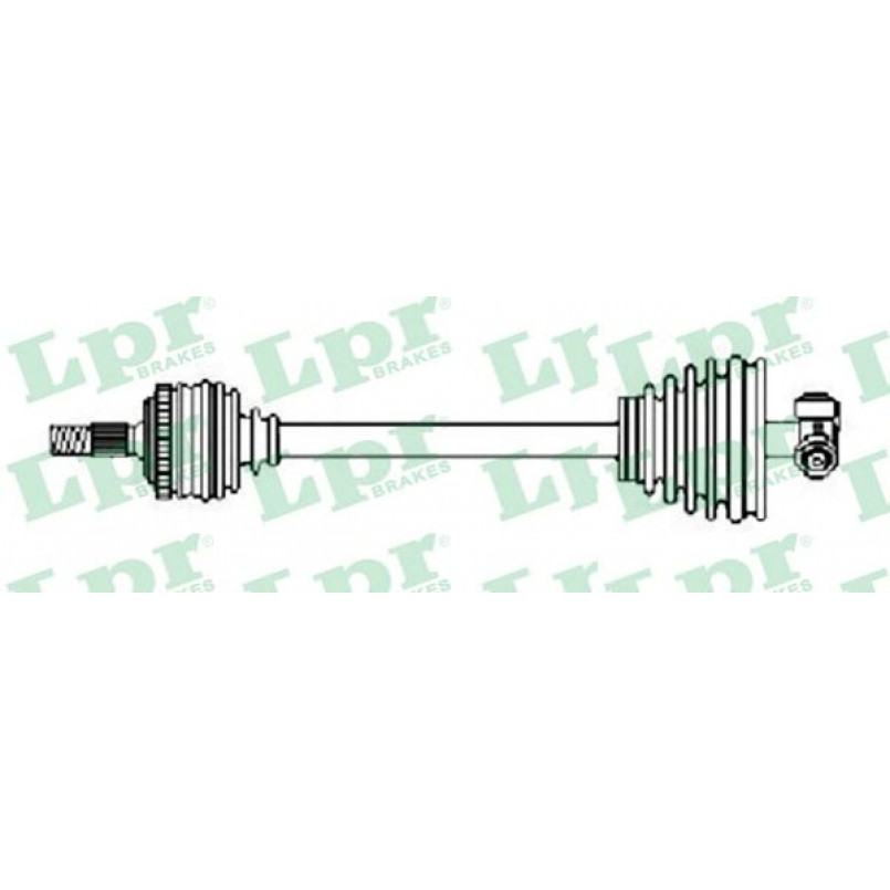 DS20244  LPR - Напіввісь