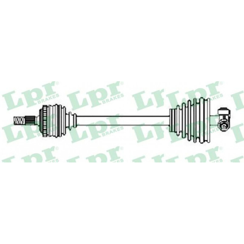 DS20245  LPR - Напіввісь