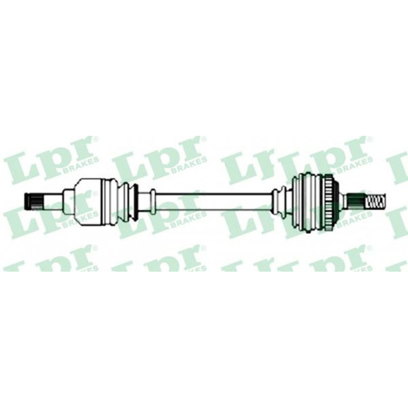 DS20264  LPR - Напіввісь