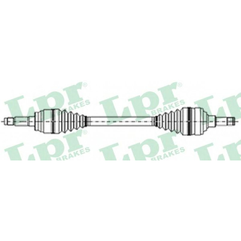 DS21026  LPR - Напіввісь
