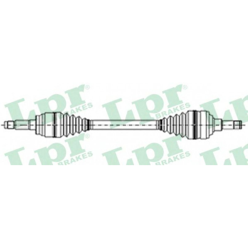 DS21027  LPR - Напіввісь