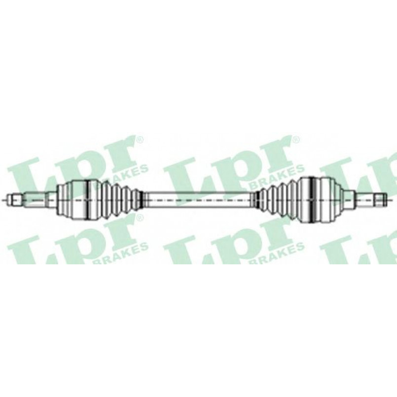DS21029  LPR - Напіввісь