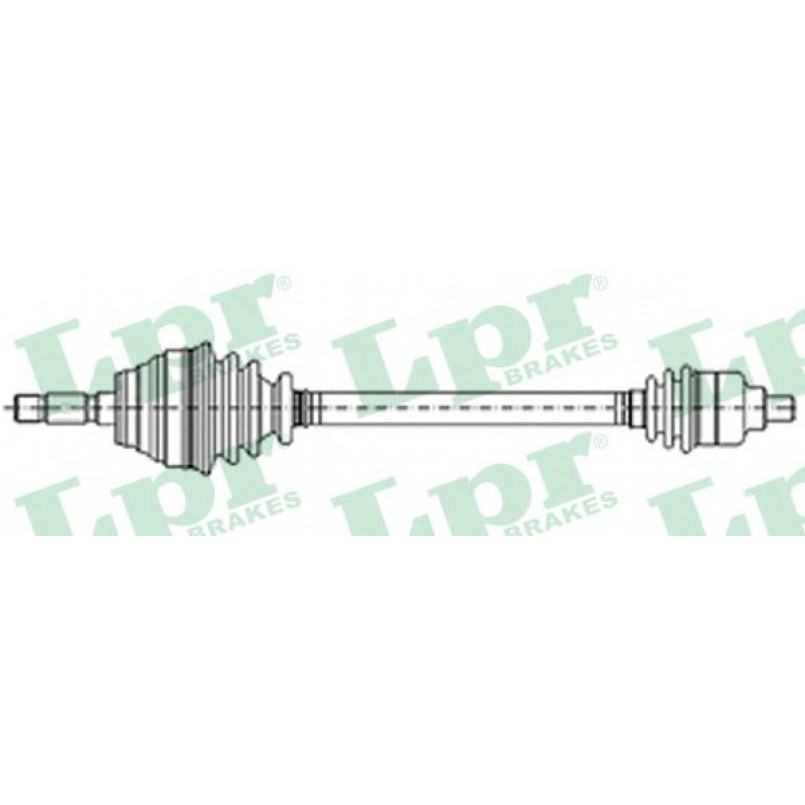 DS21054  LPR - Напіввісь