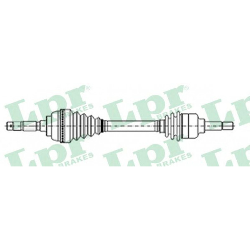 DS21055  LPR - Напіввісь