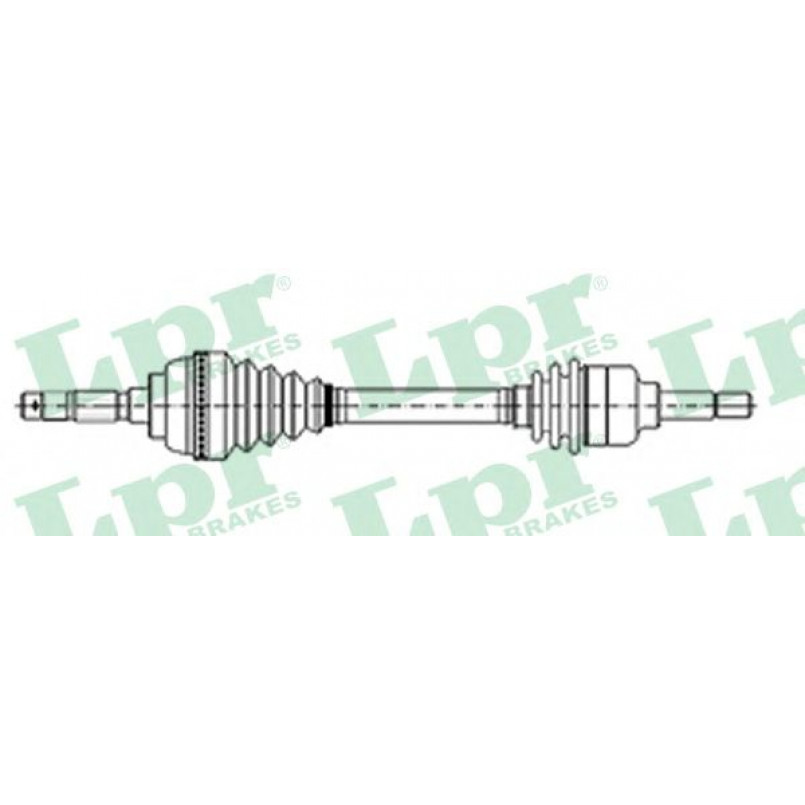DS21057  LPR - Напіввісь