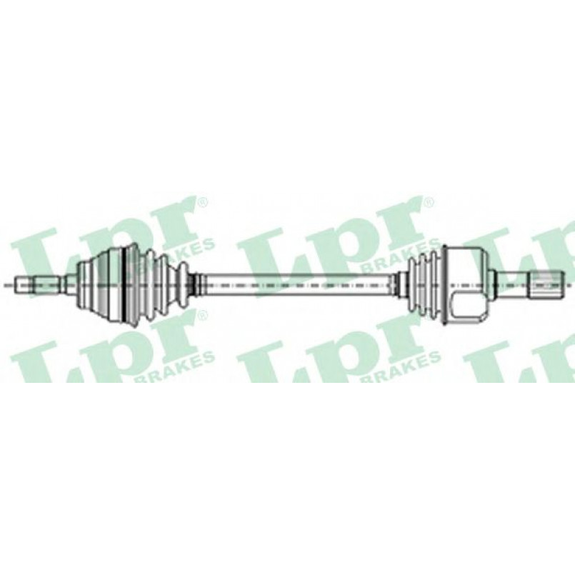 DS21062  LPR - Напіввісь