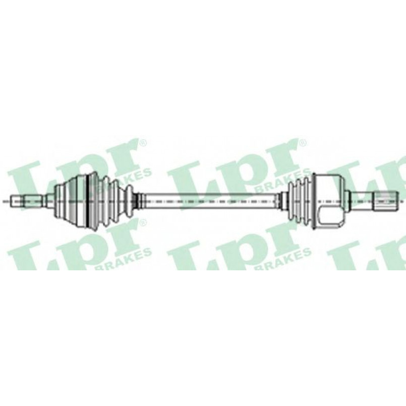 DS21069  LPR - Напіввісь