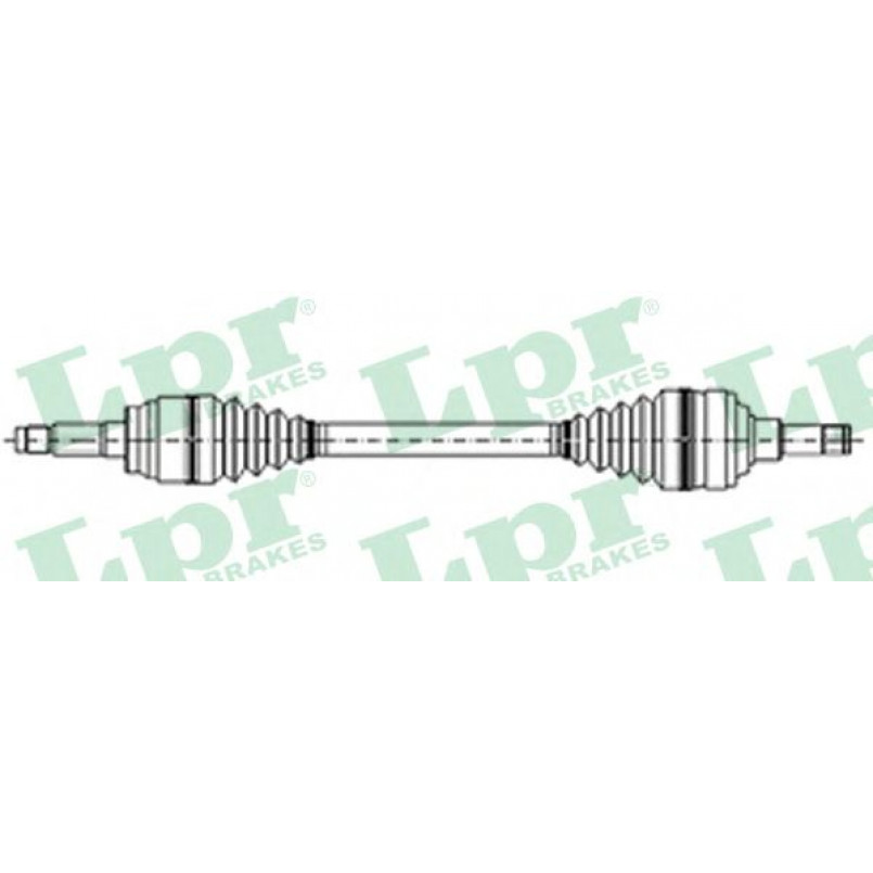 DS21071  LPR - Напіввісь
