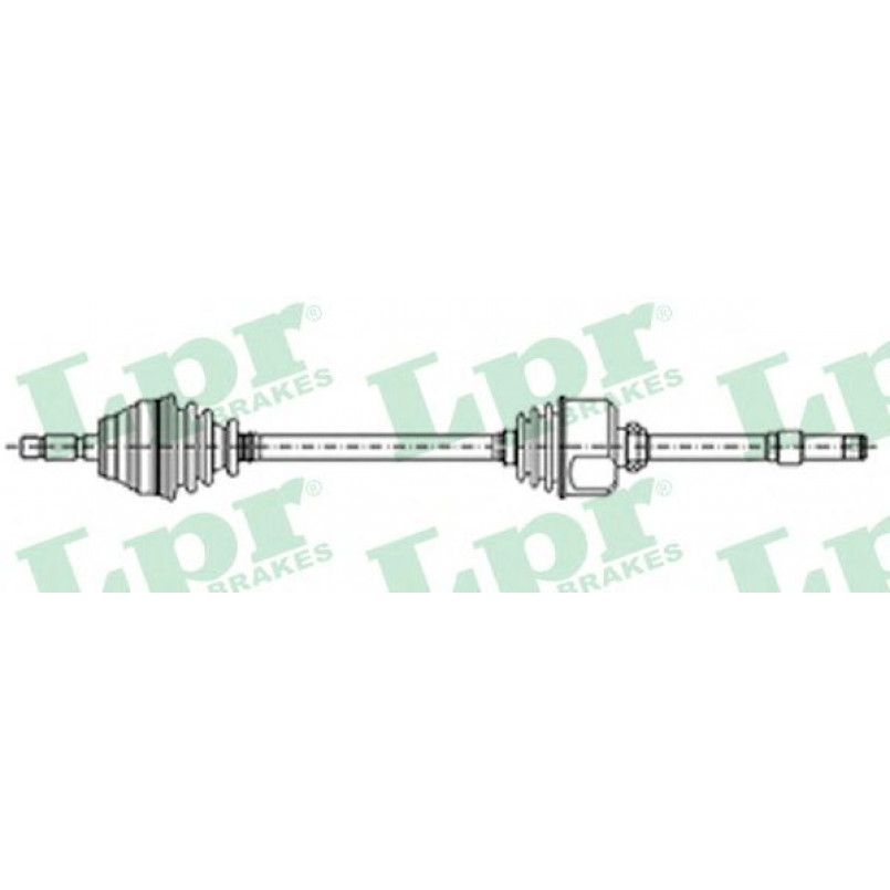 DS21088  LPR - Напіввісь