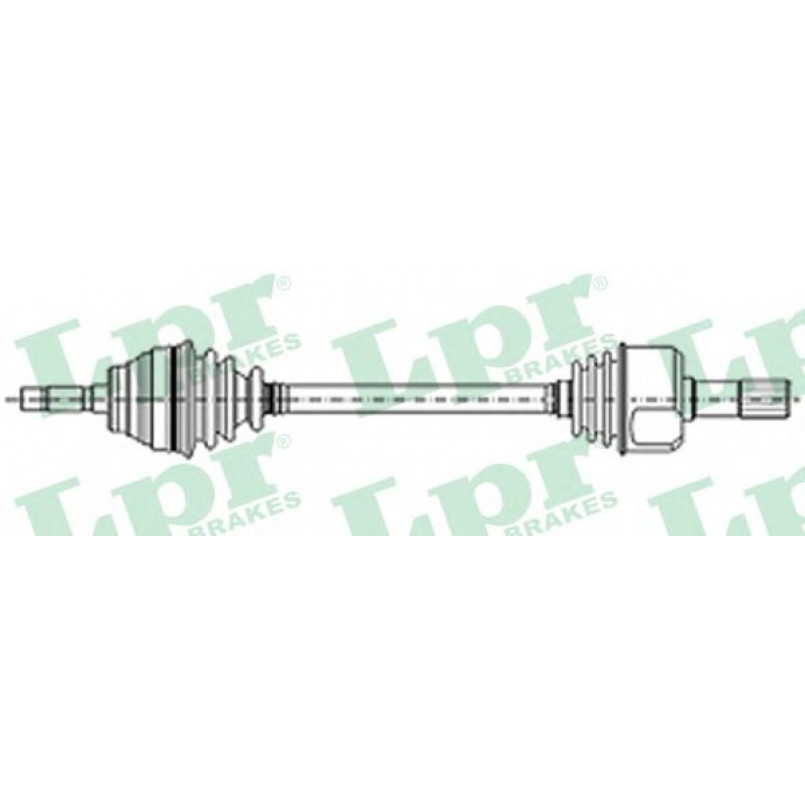 DS21096  LPR - Напіввісь