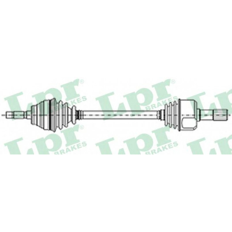 DS21102  LPR - Напіввісь