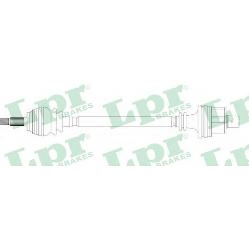 DS39109  LPR - Напіввісь