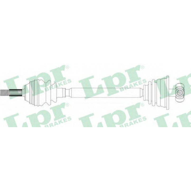 DS39138  LPR - Напіввісь