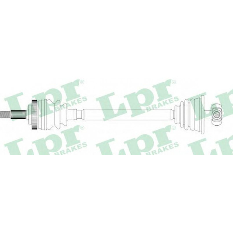 DS39238  LPR - Напіввісь