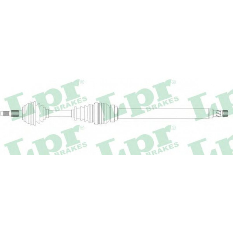 DS49014  LPR - Напіввісь