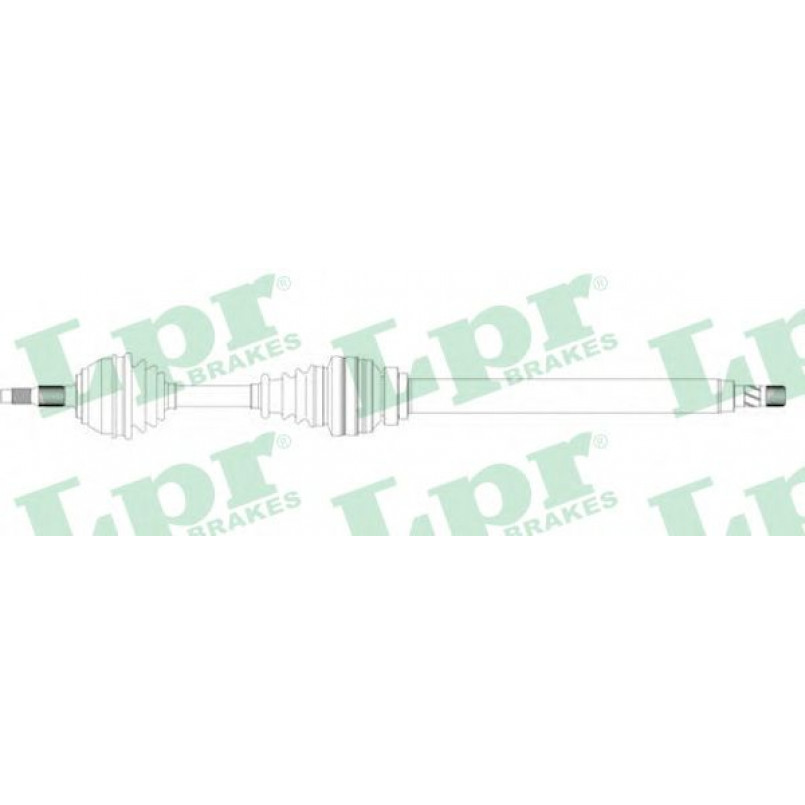 DS49018  LPR - Напіввісь