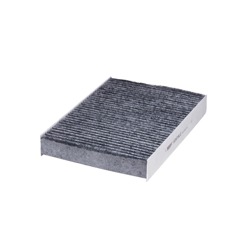 E2975LC     (HENGST)