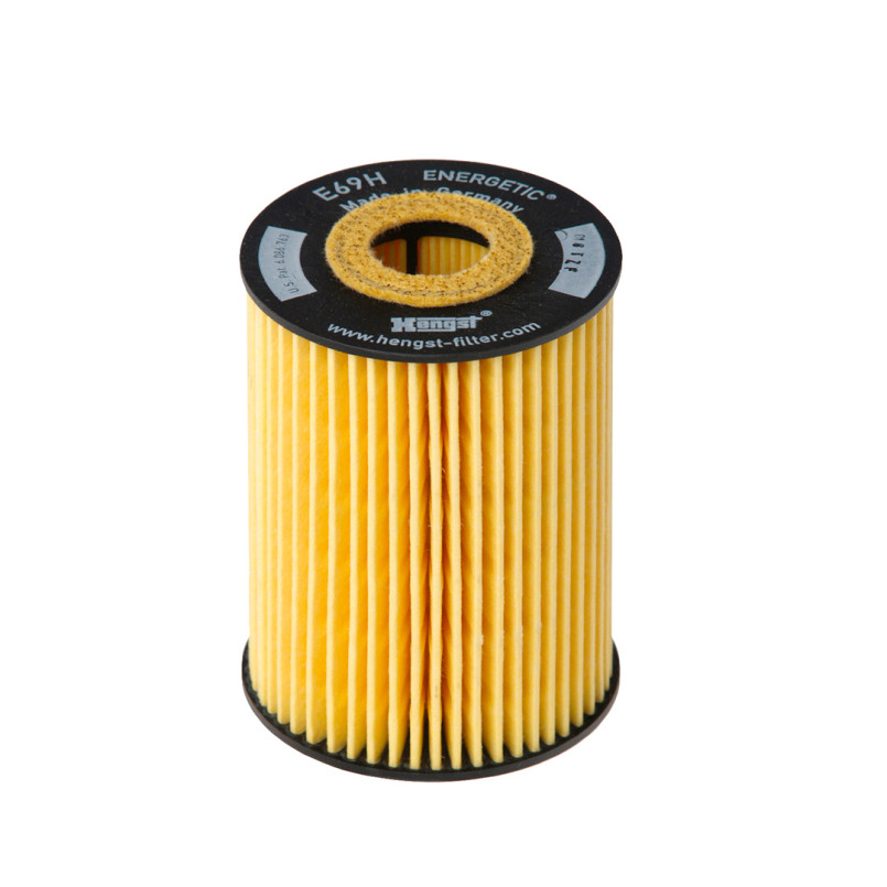 E69H D81     (HENGST)