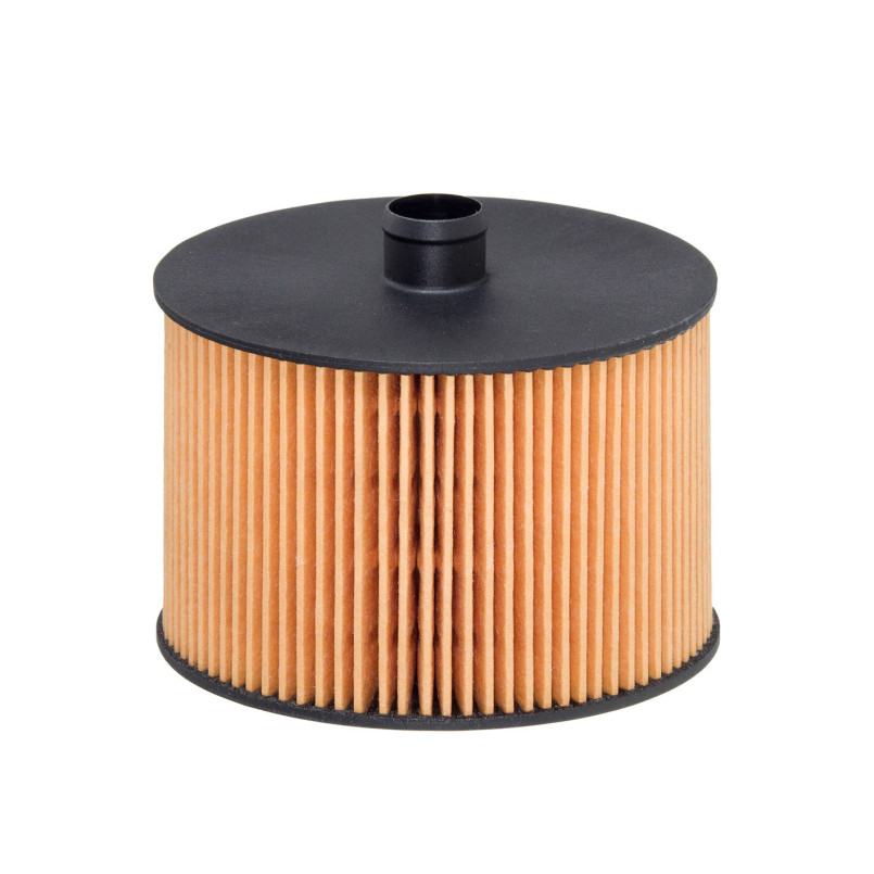 E79KP D118     (HENGST)