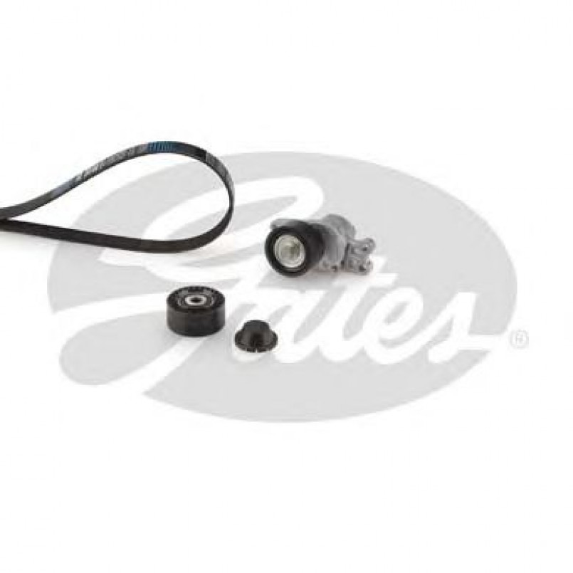 K036PK1565 (7884-20095)  Комплект ременів GATES MICRO-V KIT