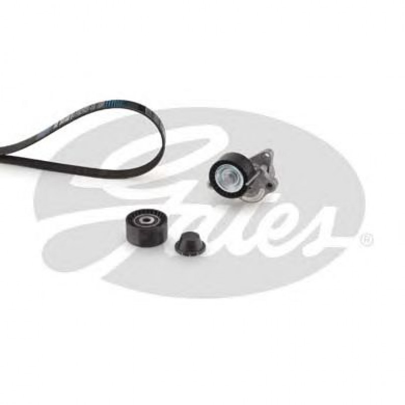 K017PK1973 (7884-20117)  Комплект ременів GATES MICRO-V KIT