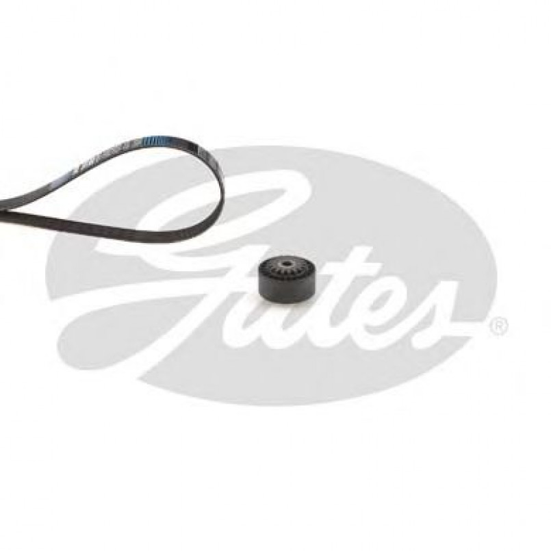 K025PK880 (7884-20122)  Комплект ременів GATES MICRO-V KIT