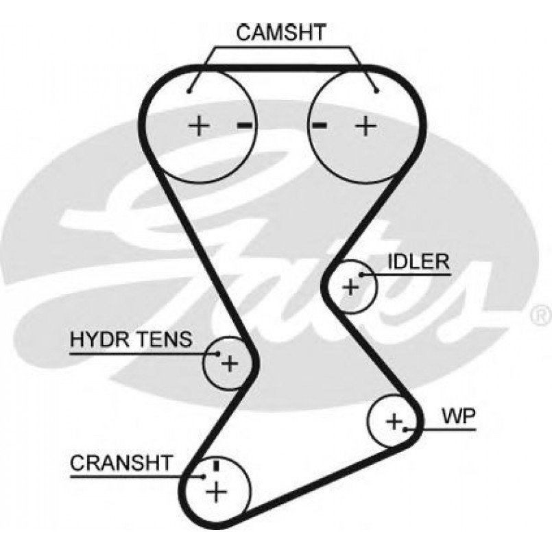 T246 (8595-10321)  Ремінь ГРМ GATES