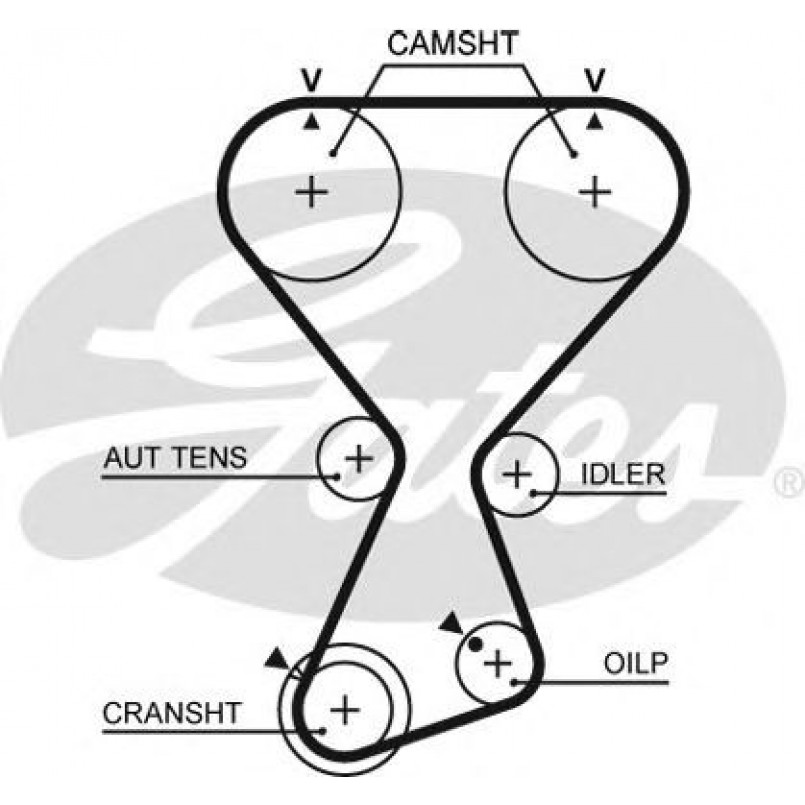T313 (8595-10653) Ремінь ГРМ GATES