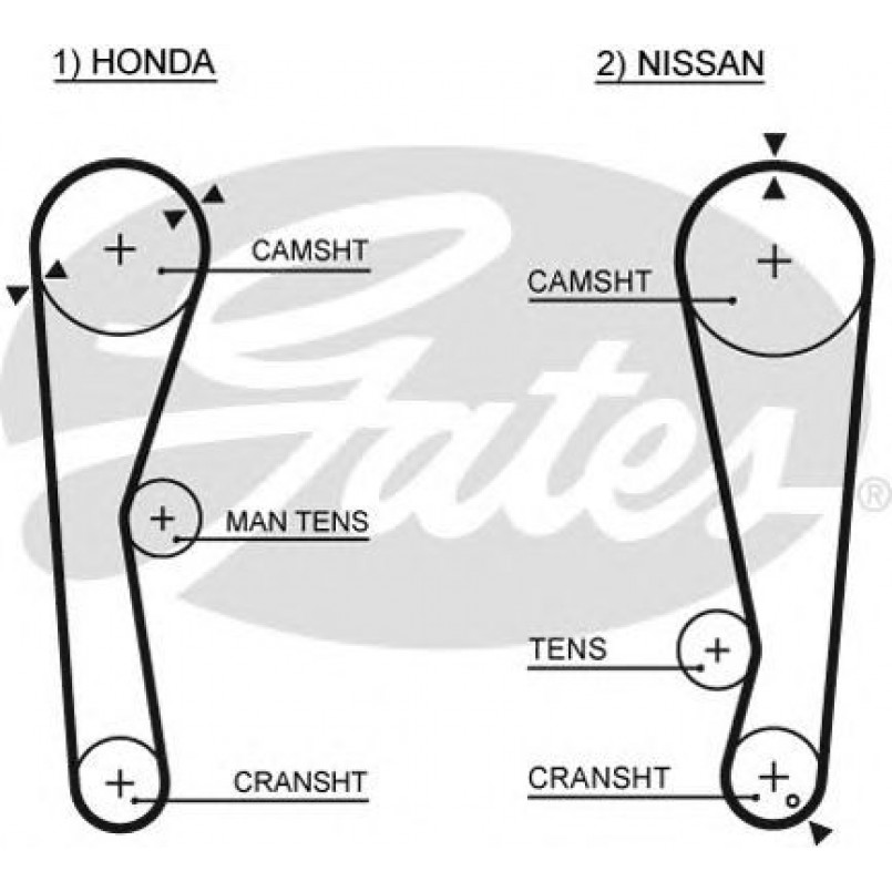 5028 (8595-15028) Ремінь ГРМ GATES