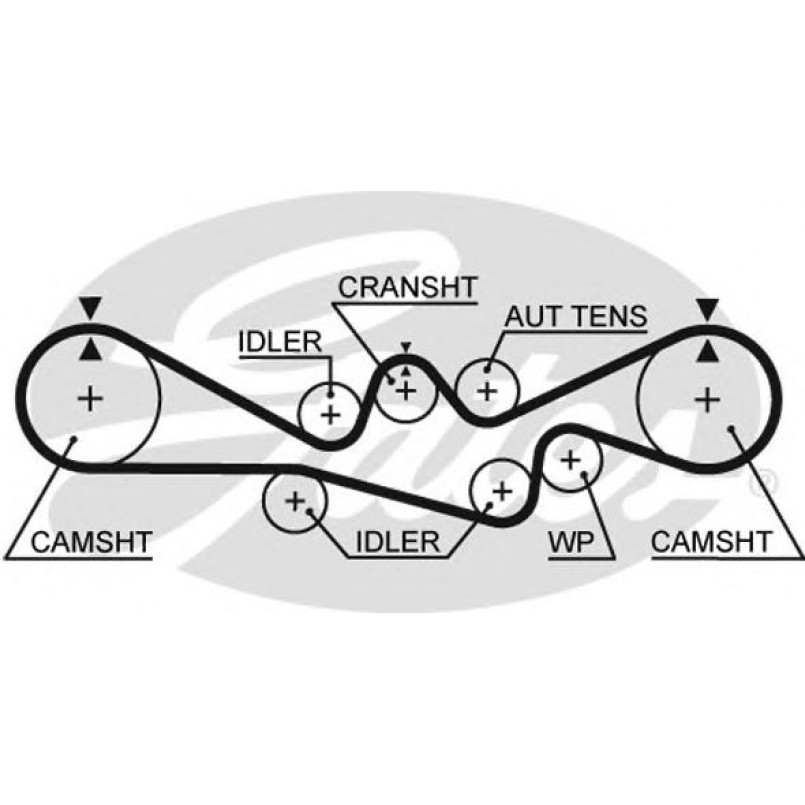5241 (8595-15241) Ремінь ГРМ GATES