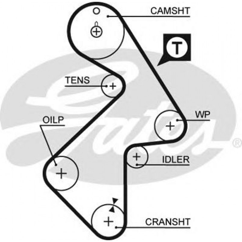 5202XS (8597-15202) Ремінь ГРМ GATES XS