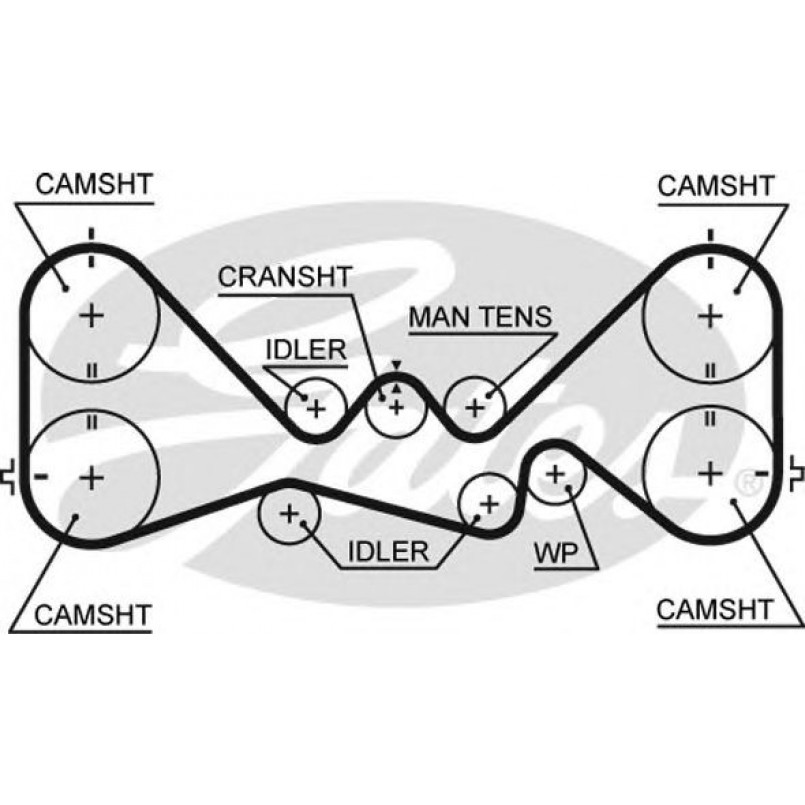 5384XS (8597-15384)  Ремінь ГРМ GATES XS