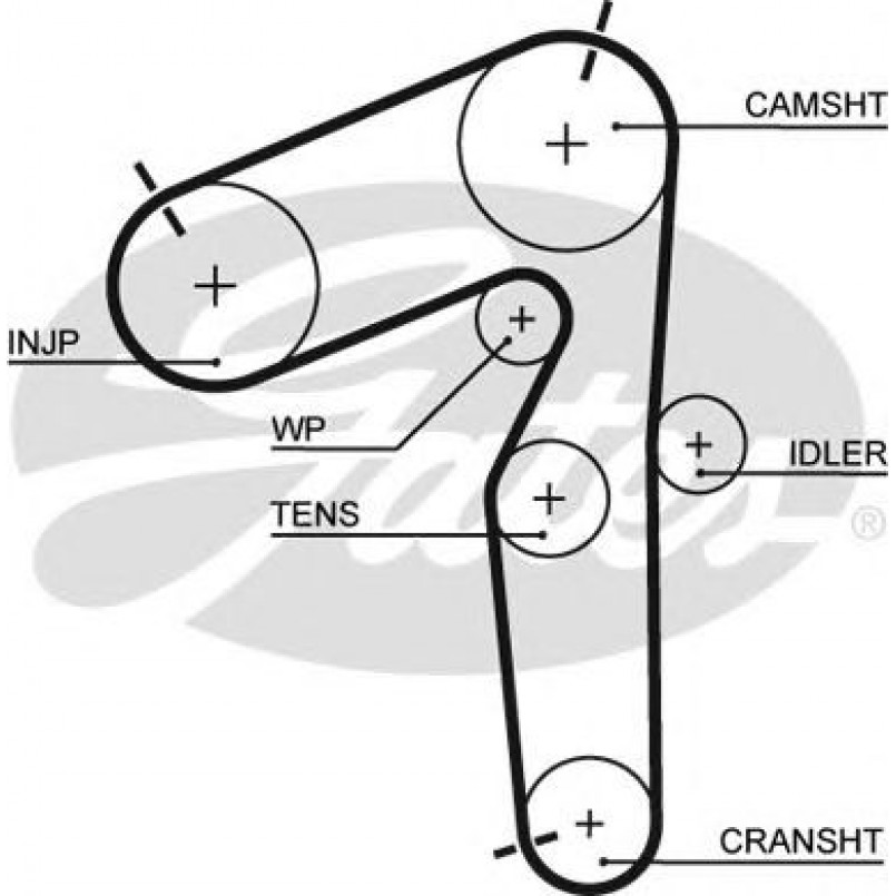 5462XS (8597-15462) Ремінь ГРМ GATES XS