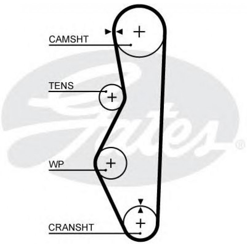5521XS (8597-15521)  Ремінь ГРМ GATES XS