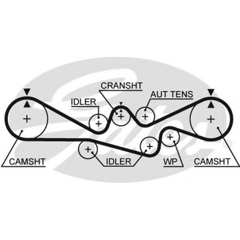5537XS (8597-15537) Ремінь ГРМ GATES XS