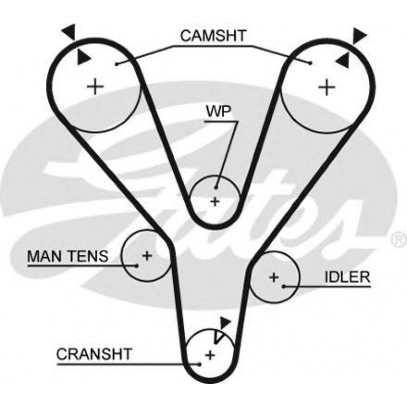 5555XS (8597-15555)  Ремінь ГРМ GATES XS