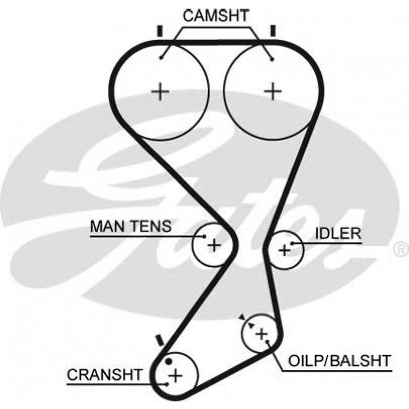 5556XS (8597-15556) Ремінь ГРМ GATES XS