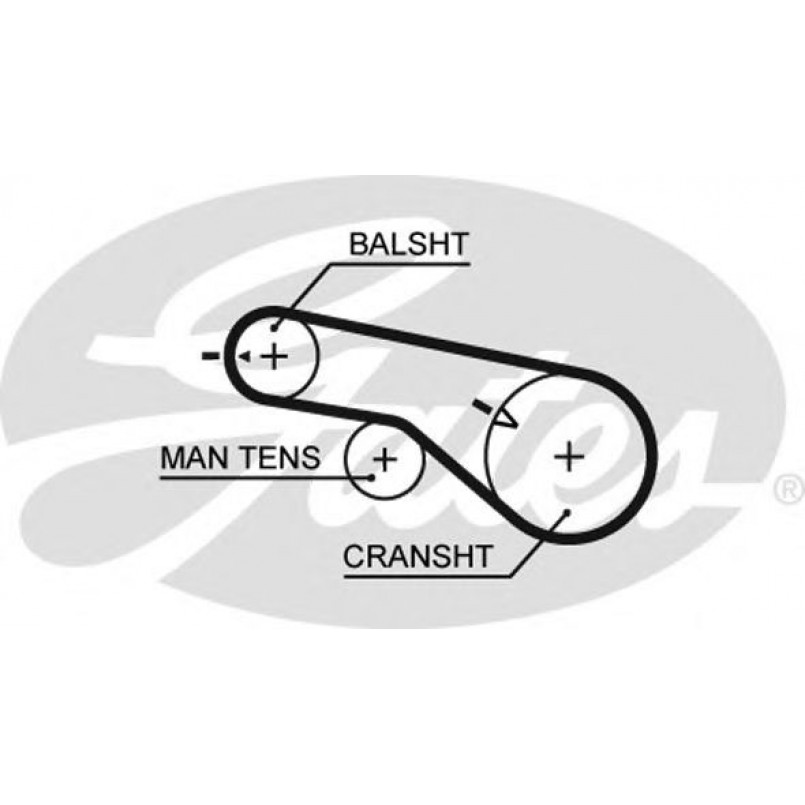 5570XS (8597-15570) Ремінь ГРМ GATES XS
