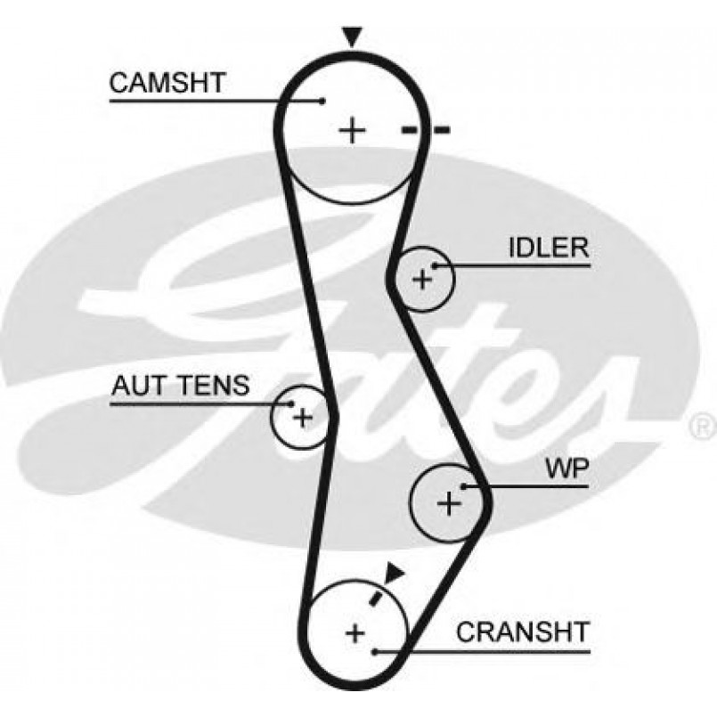 5579XS (8597-15579)  Ремінь ГРМ GATES XS