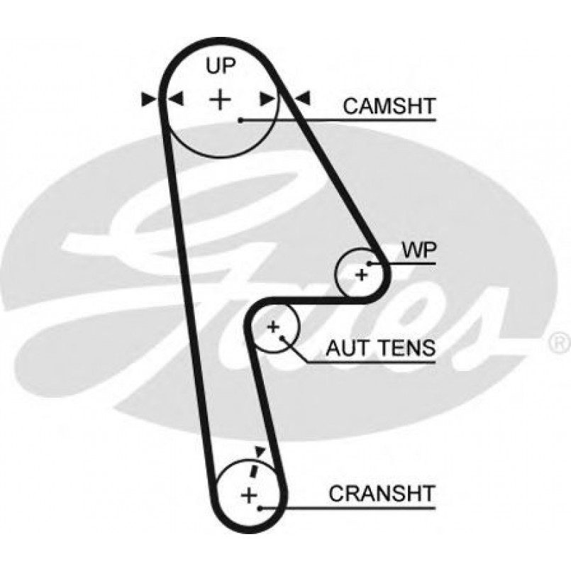 5593XS (8597-15593) Ремінь ГРМ GATES XS